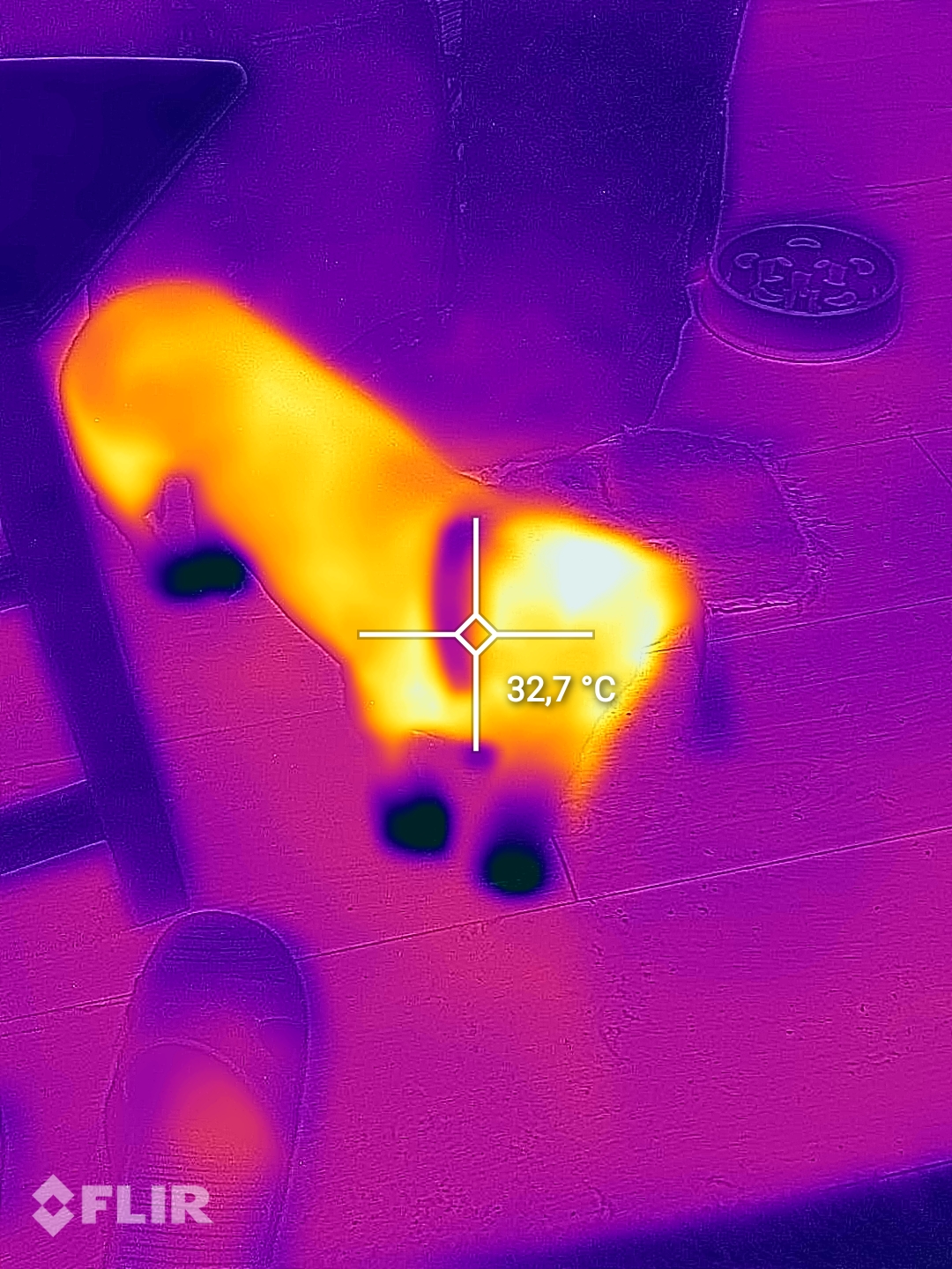 flir_20241026t080302.jpg