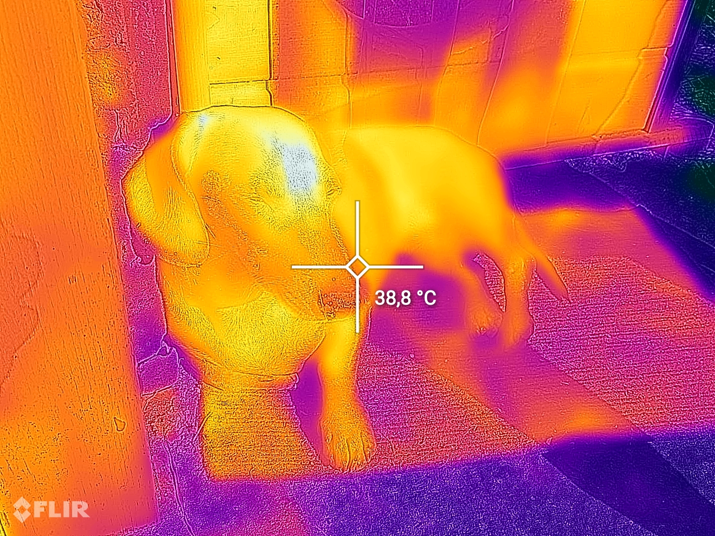 flir_20241027t122222.jpg