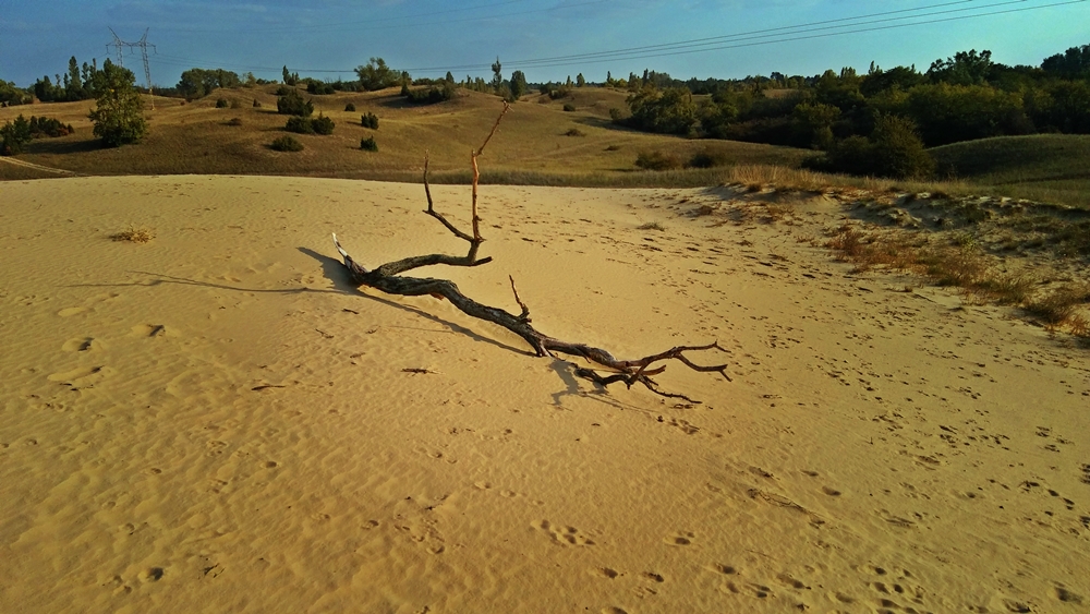 kiskunsagi_nemzeti_park.jpg