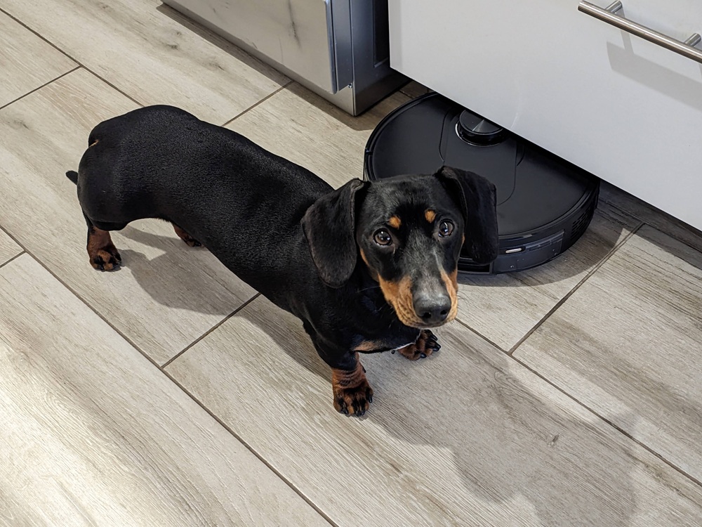 proscenic-q8-maxp-3.jpg