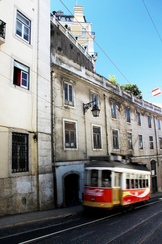 IMG 0482