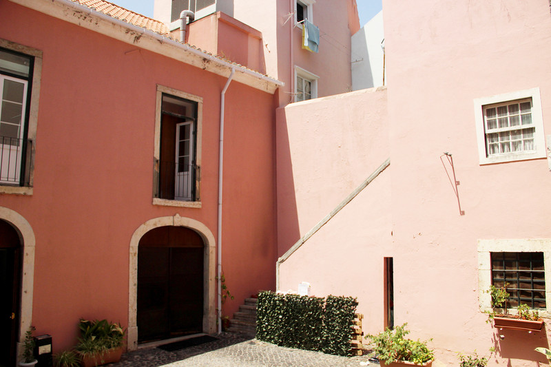 IMG 0769