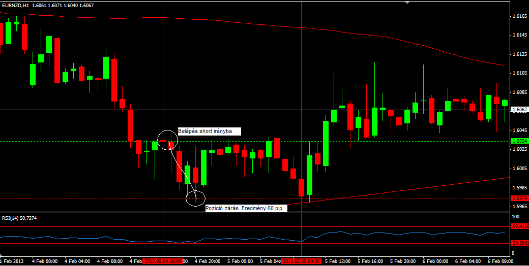 EURNZD20130204_15h.PNG