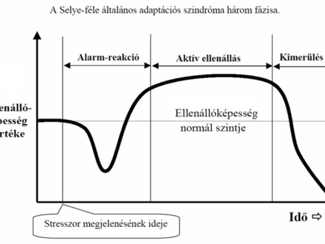 program az interneten pénzt keresni befektetés nélkül