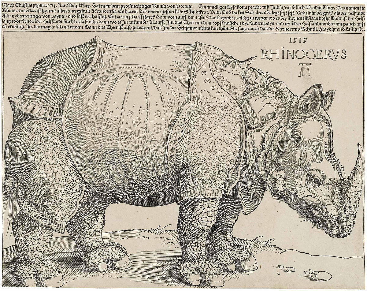 durer_s_rhinoceros_1515.jpg