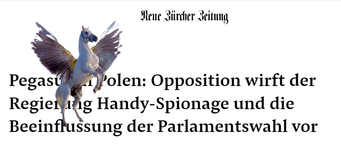 nzz_pegasussal.jpg