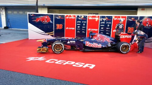 toro rosso 2013.jpg