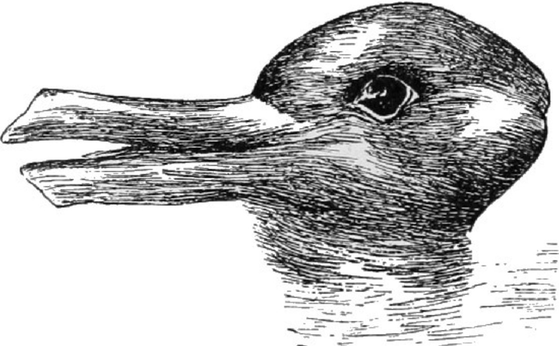 idea_sized-psm_v54_d328_optical_illusion_of_a_duck_or_a_rabbit_head.jpg