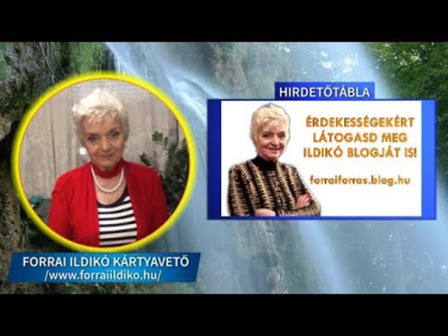 Forrai Ildikó: A gyerekeknek nincs kresz-vizsgája? :)