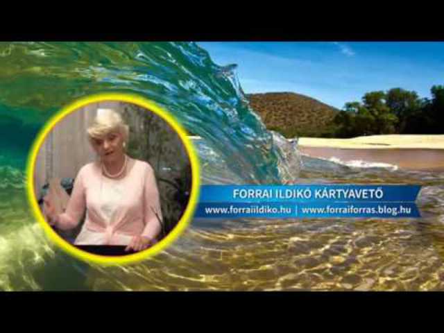 Forrai Ildikó: Te választottad a szüleidet