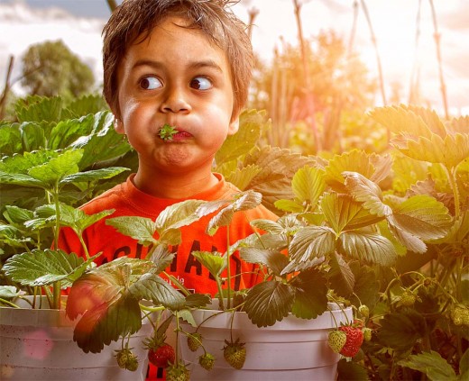 Adrian-Sommeling.jpg