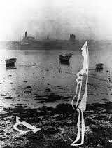 Picaso fotogram.jpg
