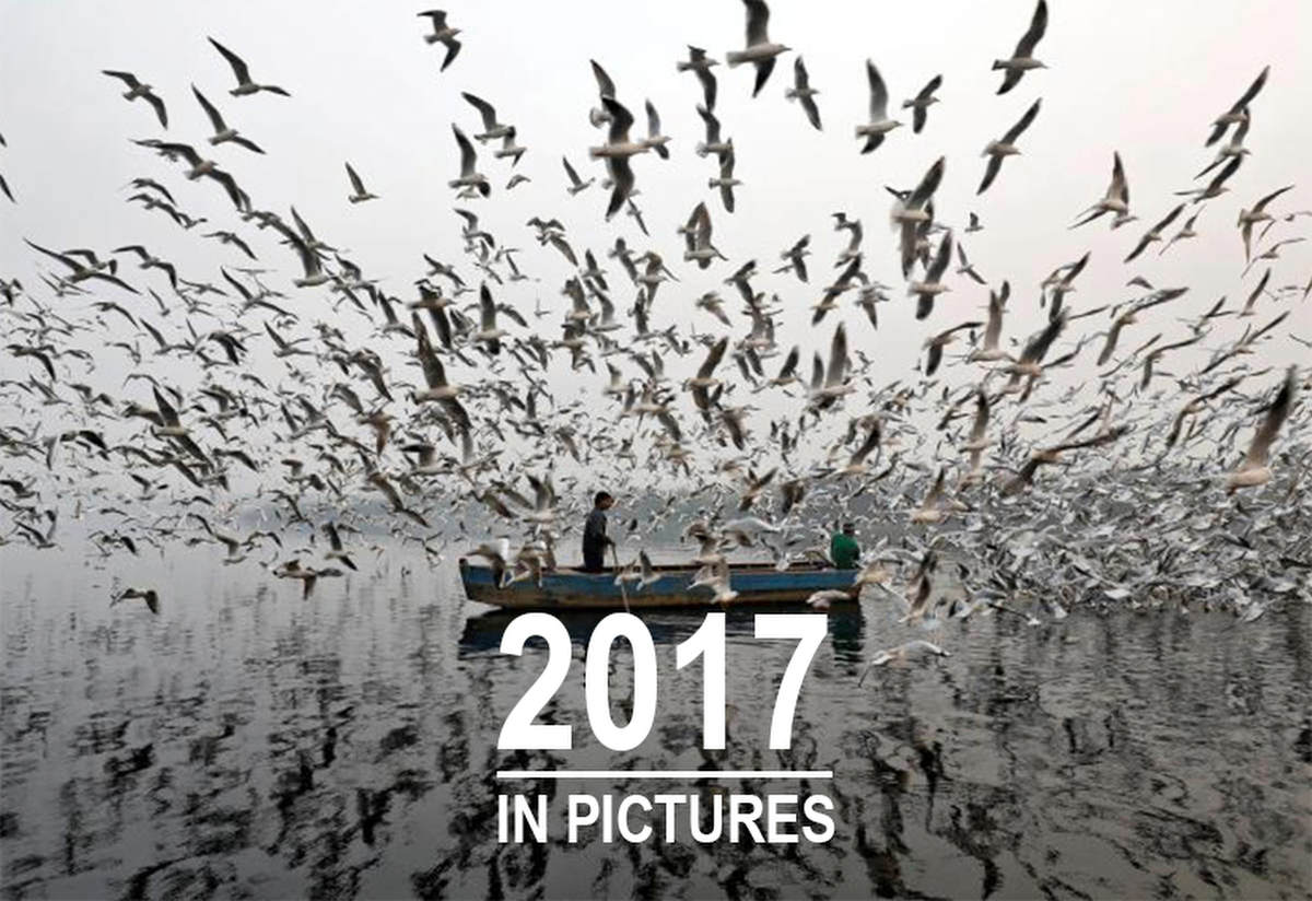 yearinpictures2017-cover-photosaumyakhandelwalreuters.jpg
