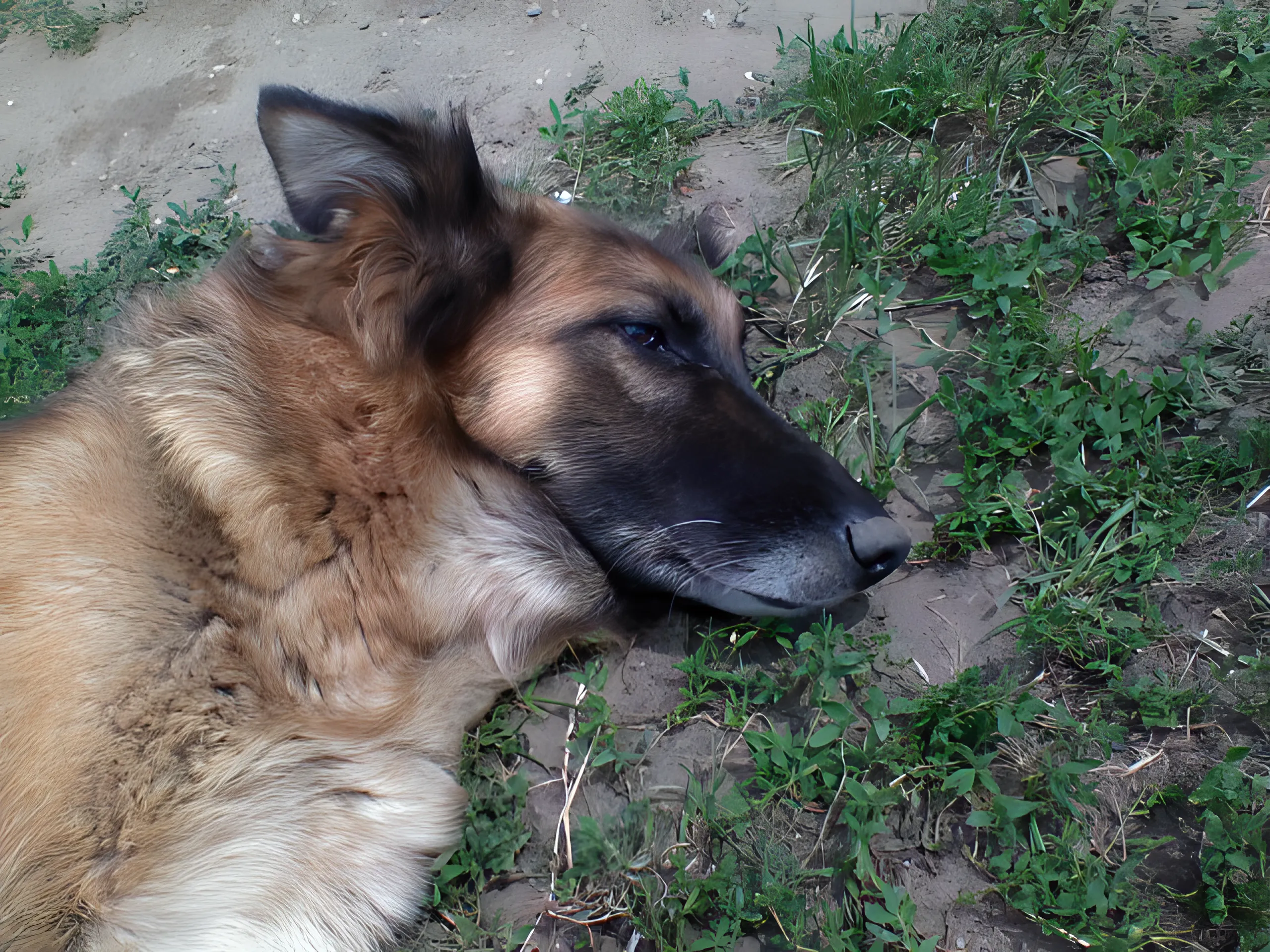 image.webp