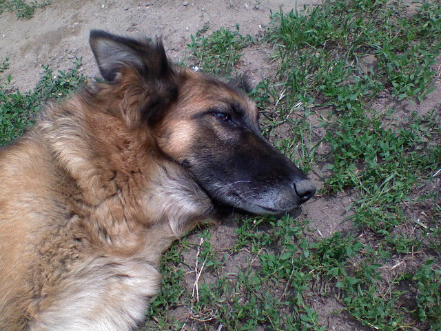 lady_13a.JPG