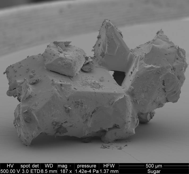 microscopic-image-of-sugar-crystal-david-mccarthy.jpg