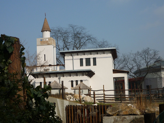 fovarosi.blog.hu: Allatkert-20110220-012-Zsirafhaz