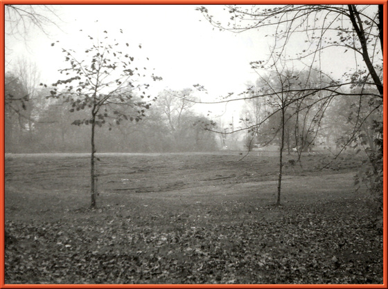 fovarosi.blog.hu: 4 Helyszin 1974-nov-4