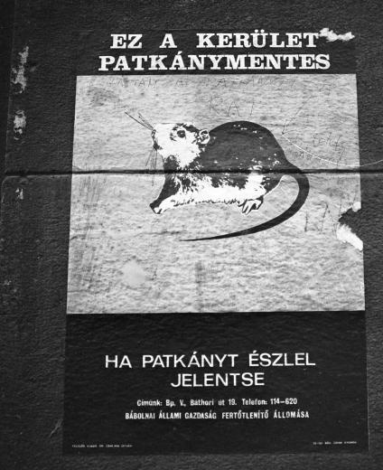 fovarosi.blog.hu: Patkanymentes-1970esEvek-Fortepan.hu-15891