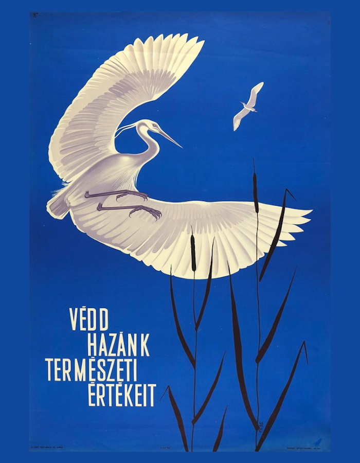 fovarosi.blog.hu: 196602-Termeszetvedelem - indafoto.hu