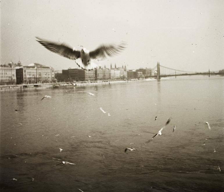 fovarosi.blog.hu: Duna-1939-fortepan.hu-92158 - indafoto.hu