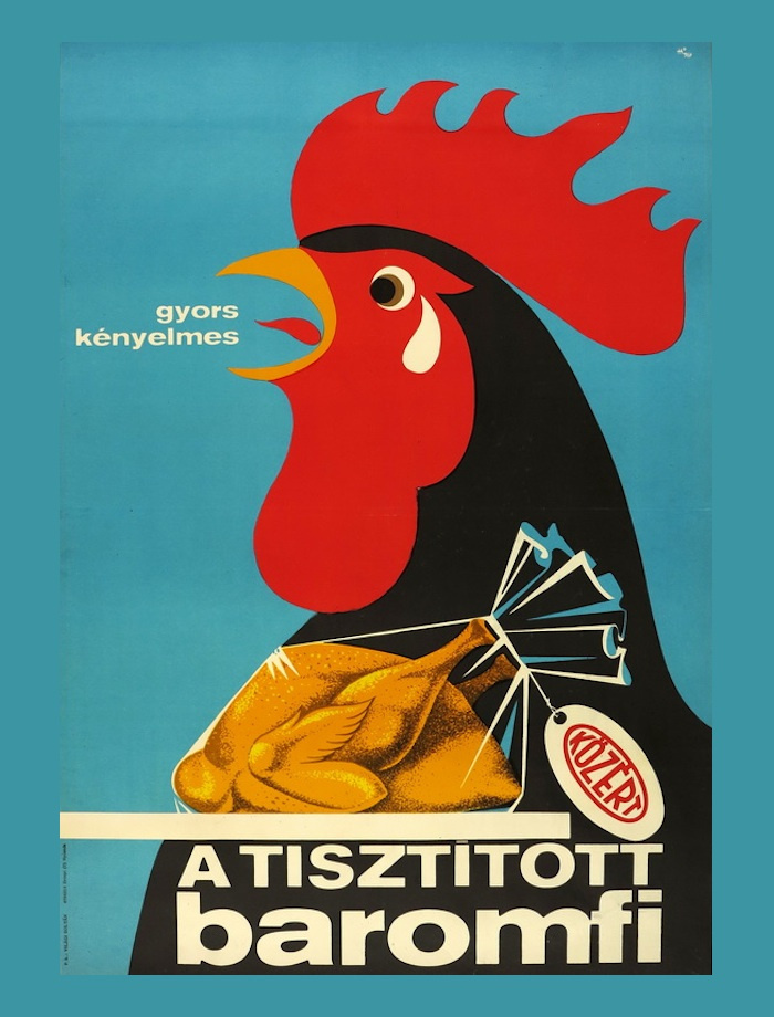 fovarosi.blog.hu: 196701-Csirke-GrofjardanhazyTumblr - indafoto.hu