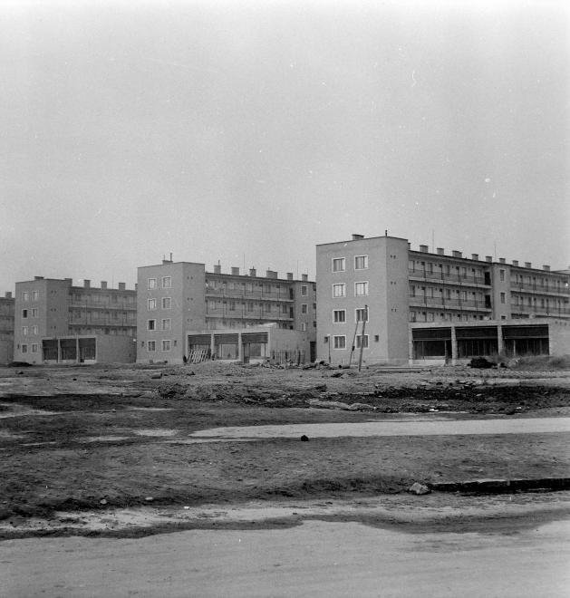 Csillagtelep-Csepel-1959Korul-VenuszUtca-fortepan.hu-116860