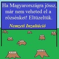 Rőzsecsökkentés