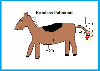 badogbogrefestes_02.jpg