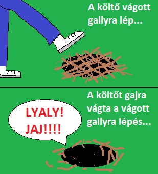 gajra_vs_gallyra.jpg