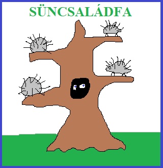 tas_es_neje_01_suncsaladfa.jpg