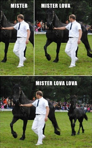 wow_mister_lova_lova.jpg