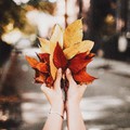 5 dolog amit nem szeretünk az őszben- avagy tippek az őszi ruhaválasztás nehézségeire