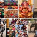 5 ok amiért érdemes Goát, India gyöngyszemét  a bakancslistára feltenni