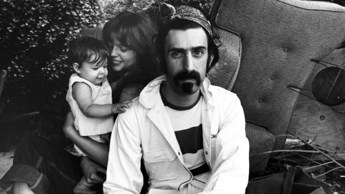 fz_family_dailyzappa.jpg