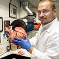 Élethű szív- és tüdőmodellt nyomtattak a Nottingham Trent Egyetemen