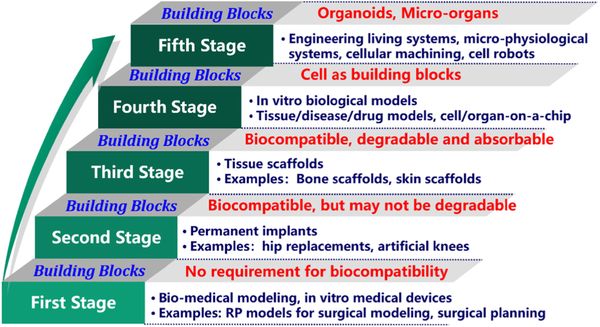 3dnyomtatas_bioproadmap.jpg