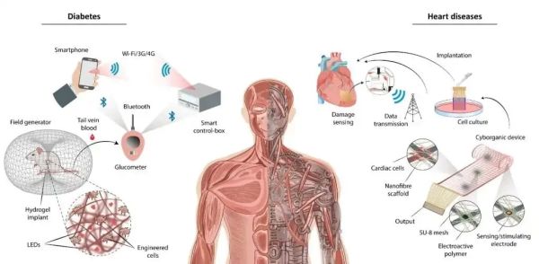 Biotechnológia 3dnyomtatas_ourobionics