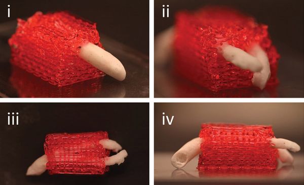 3dnyomtatas_bloodvessels.jpg