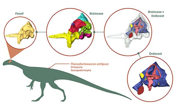 3dnyomtatzas_dino.jpg