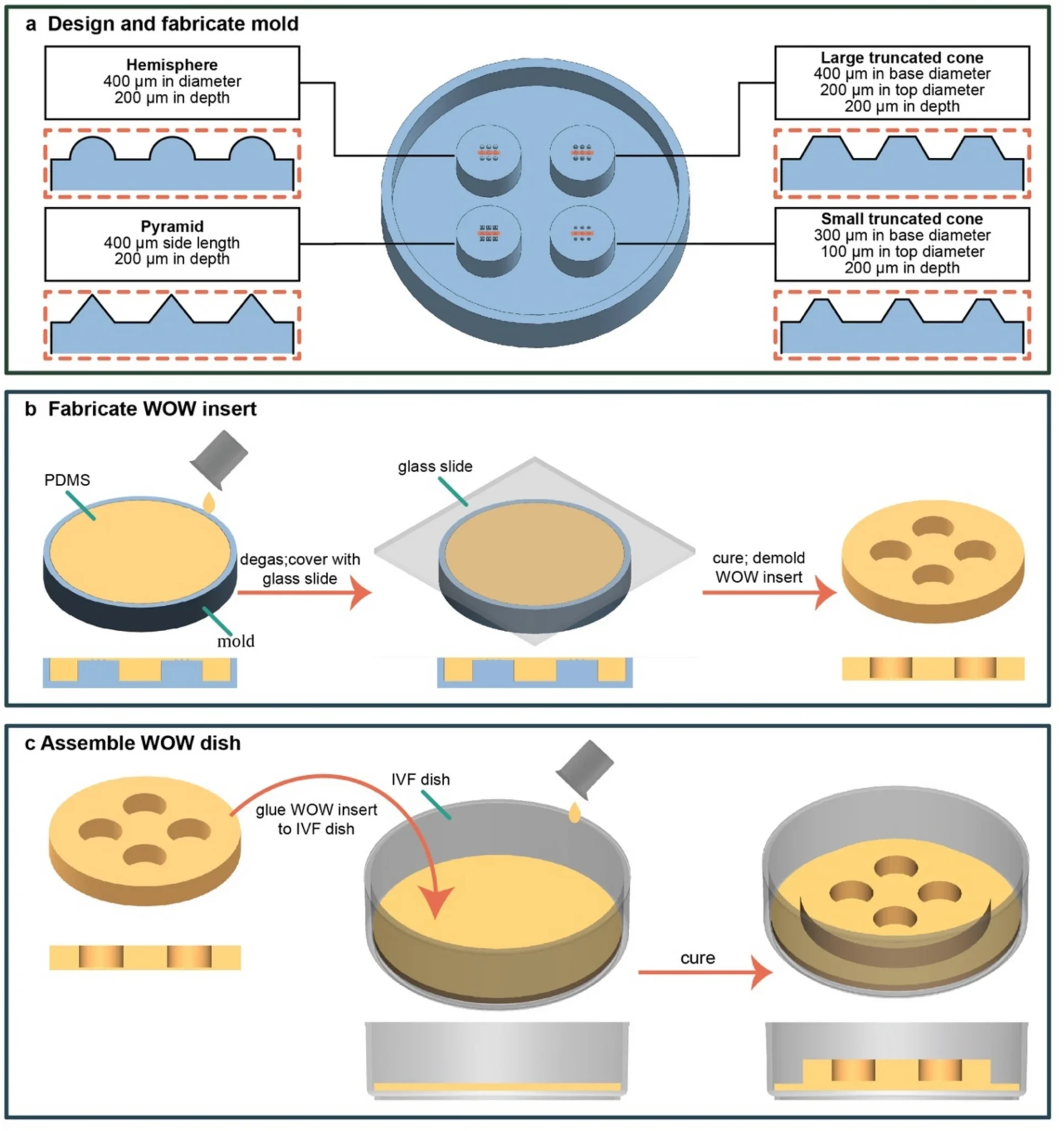 ivf-2.webp