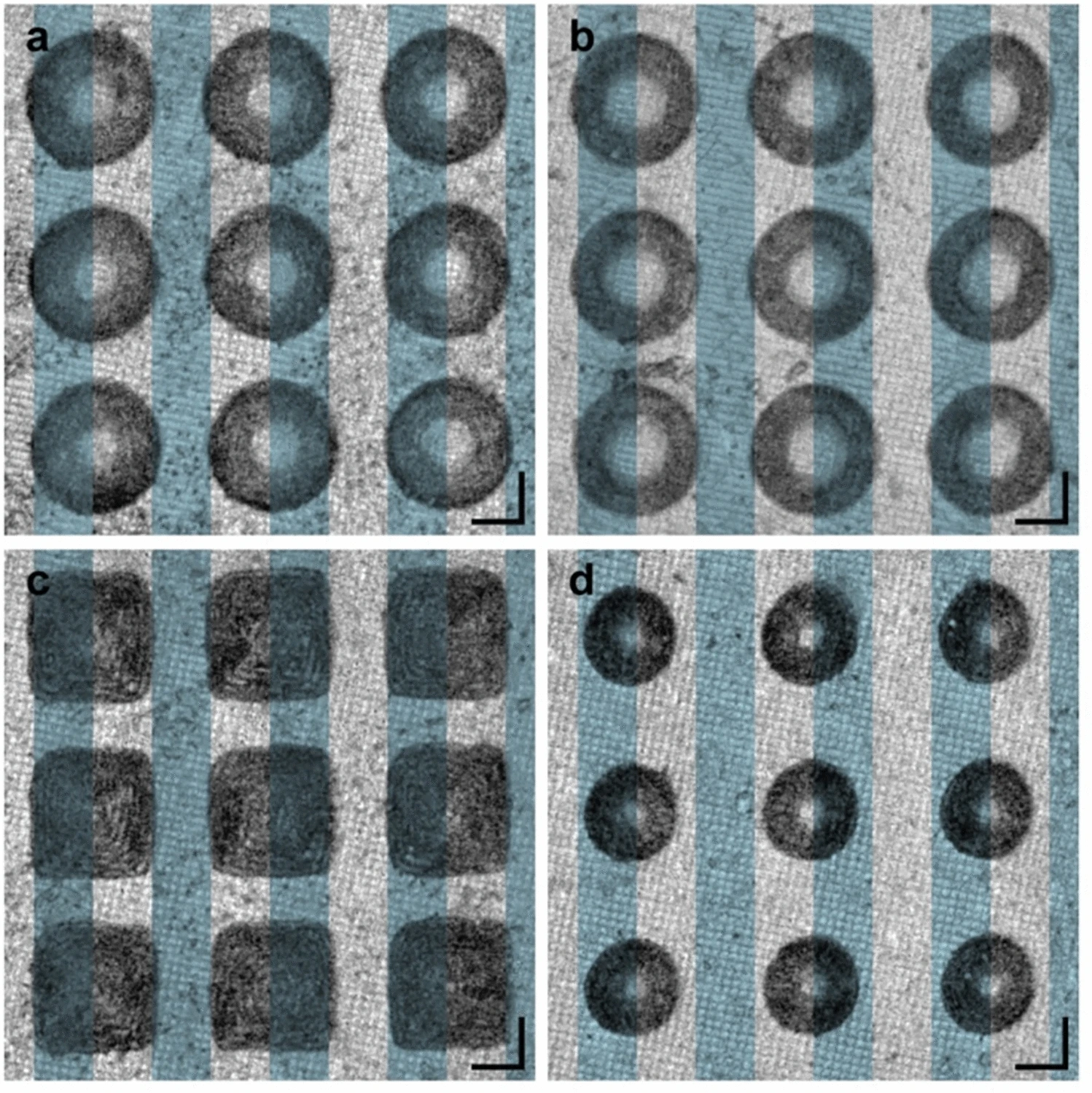 ivf-3.webp