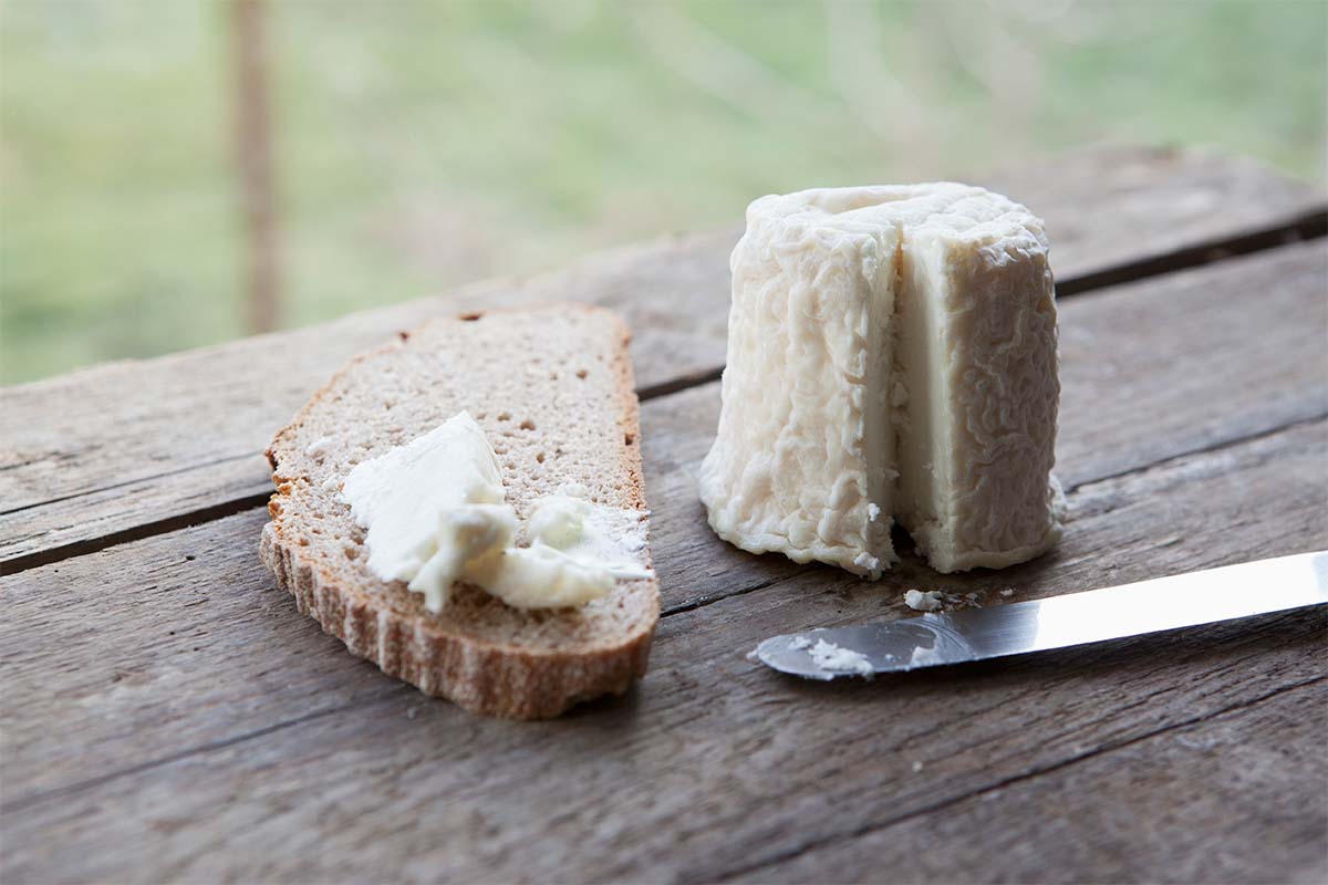 Sajt és még sajtabb - Sajtkülönlegességek a világból