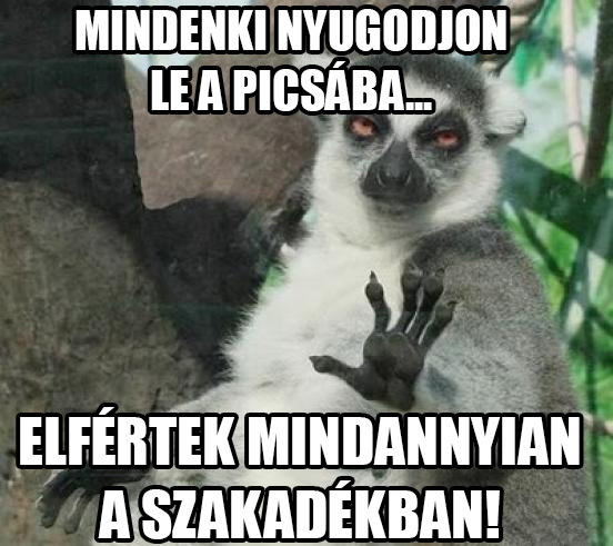 szakadek.jpg