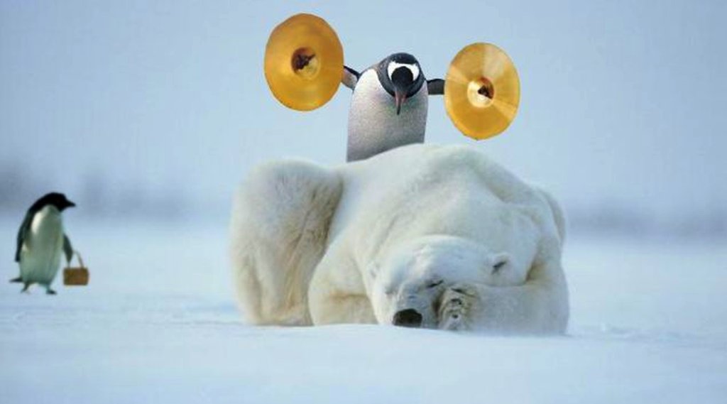 Ééébresztőőő!<br />penguin by Chris Nystrom<br />