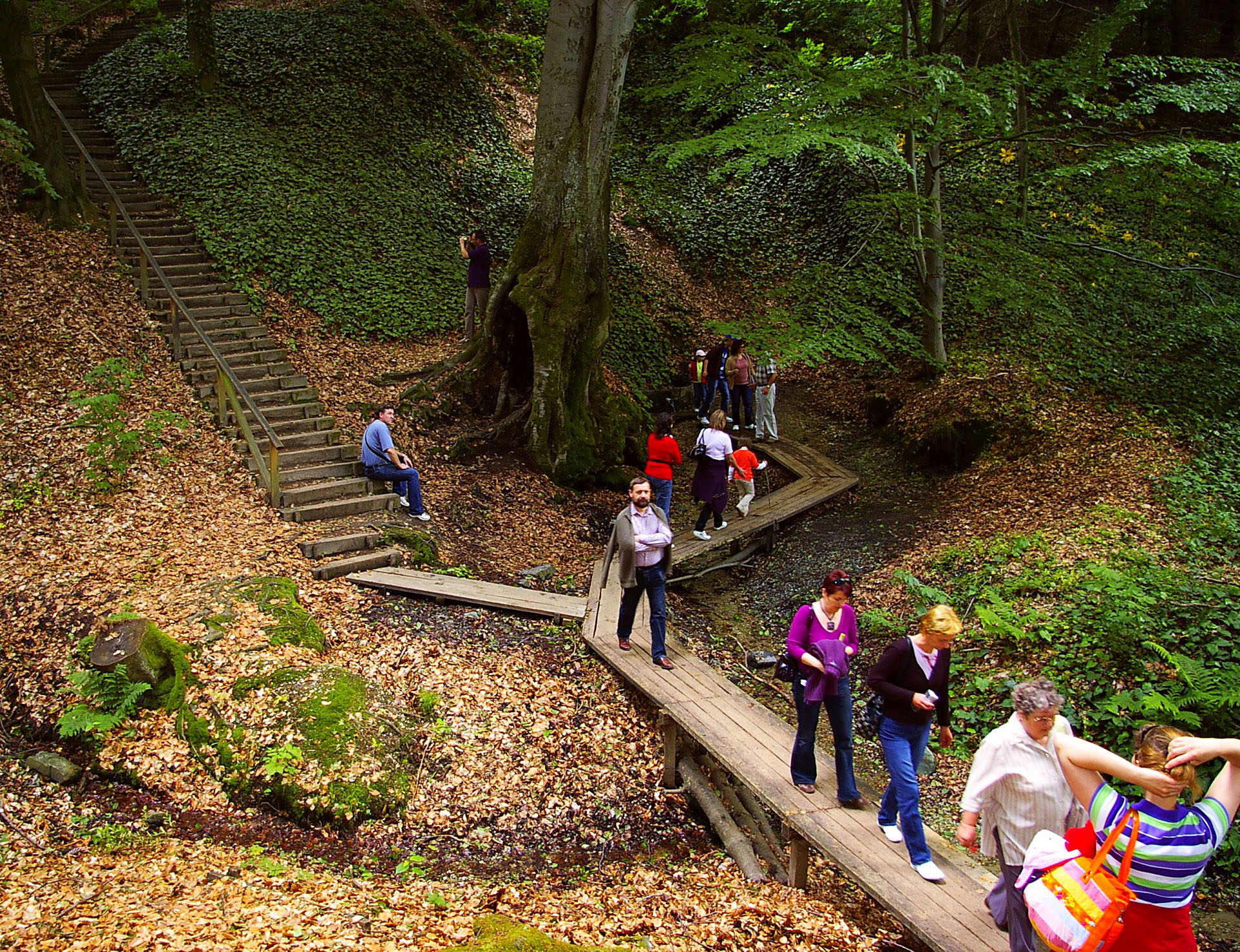 A növénykert területén található a Hét forrás, az egyik fő turistalátványosság a kerten belül.