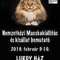 Macskakiállítás a Lurdyban (2019. február 9-10.)