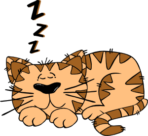 11954406161991568757Gerald_G_Cartoon_Cat_Sleeping.svg.med.png