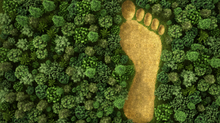 Meg lehet-e teljesen szüntetni az ökológiai lábnyomot?