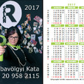 Köszönöm a segítséget | 2017 kártyanaptár